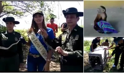 Miss Earth acompaña al intendente jefe de la Policía Ambiental a liberar animales silvestres.