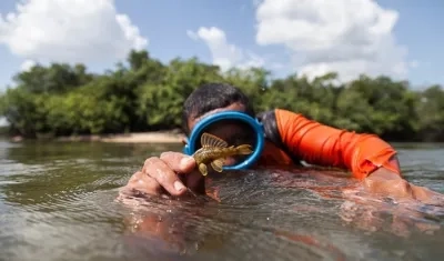  El programa Colombia-Bio es un proyecto científico de interés nacional. 