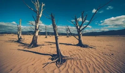 En pocos meses Ciudad del Cabo no tendrá agua.