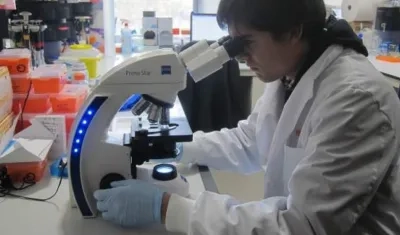 El avance tiene el potencial de ayudar a desarrollar terapias basadas en células madres adultas "para curar enfermedades hasta ahora sin cura.