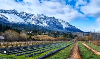 El AgMIP centra sus labores en comprender cómo la agricultura y la seguridad alimentaria son vulnerables a los cambios globales.