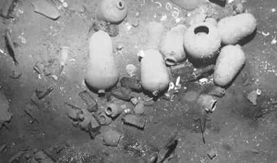 Fotografía de elementos sumergibles, al parecer, del Galeón San José.