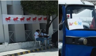 El caballo y las mariposas fueron usadas por los partidos políticos en Soledad.