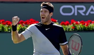 El argentino Juan Martín del Potro.