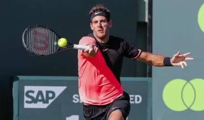 Juan Manuel Del Potro, tenista argentino. 