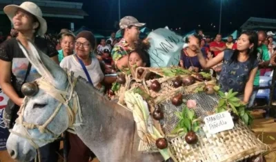 El Protector de los Manglares, ganador del Festival del Burro en San Antero
