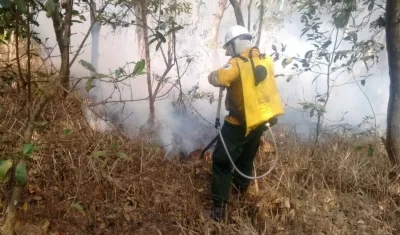 Bomberos de Ciénaga trabajan para sofocar las llamas.