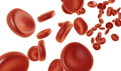 Con la técnica plasma rico en plaquetas se pueden renovar tejidos, articulaciones, y se puede utilizar para tratar problemas de artrosis.