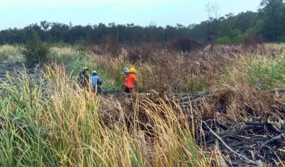 Foto de los organismo de socorro en el parque Isla de Salamanca.