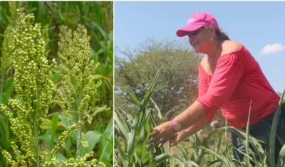 Sila Guido, una productora de la región Caribe, que trabaja con este material en su finca el Hato GQ, en Candelaria, Atlántico