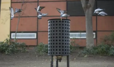 El ayuntamiento de Barcelona instaló el año pasado dispensadores que suministran pienso de maíz con nicarbazina.