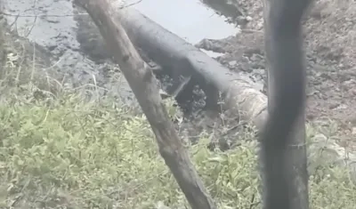 Lugar del atentado en e oleoducto.