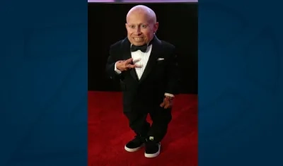 Verne Troyer