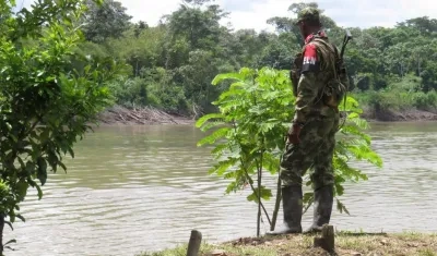 Los hechos ocurrieron en Fortul, Arauca.