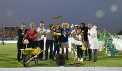 El árbol fue enviado desde Roma por el Papa Francisco.