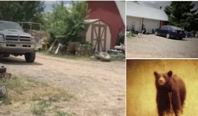 Lugar donde ocurrió el ataque del oso.