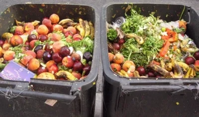 Unas 715 millones de toneladas de frutas y verduras se desperdician anualmente en el mundo.