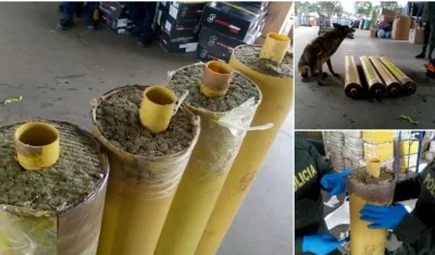 Marihuana incautada.