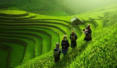 El informe de la OIT destacó que los esfuerzos por combatir el cambio climático de aquí al 2030.