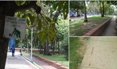 A diario propietarios de mascotas no recogen las heces cuando los sacan al parque.