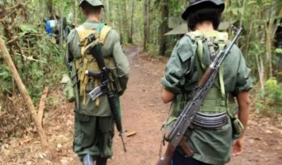 Los 10 disidentes de las FARC fueron dados de baja en Fortul, Arauca.