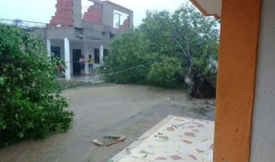 Árboles caídos en el municipio de Repelón.