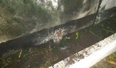 Lugar donde explotó el artefacto.