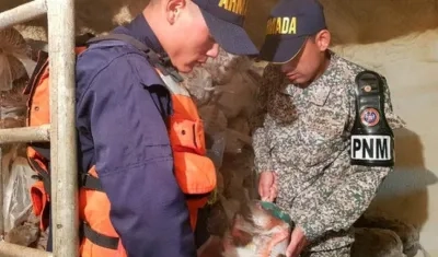 El capitán del barco fue capturado por el delito de violación de fronteras para la explotación de recursos naturales.