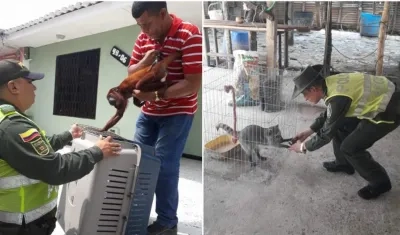 Los animales silvestres son para estar en libertad.