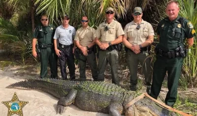 La Policía logró atrapar al animal.