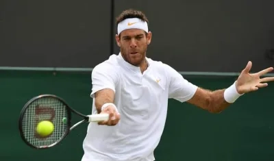 El argentino Juan Martín del Potro.