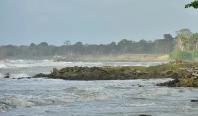 En las jornadas han limpiado 187 toneladas de basuras y residuos.