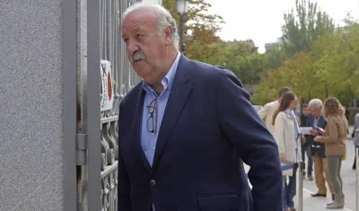 Vicente Del Bosque. 