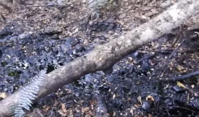 Así se encuentra la zona después del derrame de crudo. 