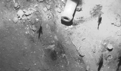 El Ministerio de Asuntos Exteriores valoró la decisión del Presidente Santos.