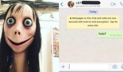 "Momo" interactúa con quien le escribe a través de WhatsApp. A veces, desde un número mexicano. 