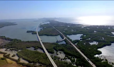 Imagen del viaducto El Gran Manglar.