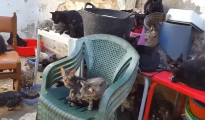  En la vivienda vivían dos personas que también acumulaban numerosos enseres recogidos de la basura.