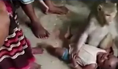 Momentos dramáticos se vivieron alrededor del hecho en una aldea de la India.