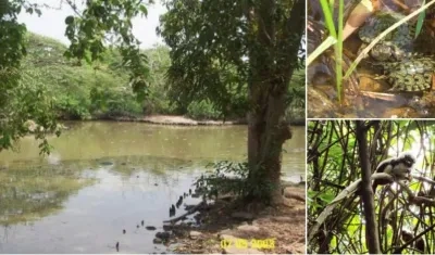 La cita de la Feria en Santo Tomás es en la Institución Técnica Diversificada La Oriental, a partir de las 9:00 am.