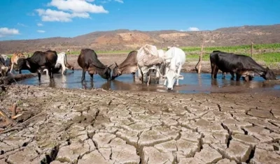 Los últimos pronósticos de modelos estadísticos y dinámicos favorecen colectivamente el desarrollo débil de El Niño.