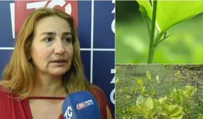Lumey Pérez Artiles, experta cubana en HLB e investigadora Ph.D de  Agrosavia.