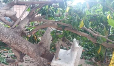 Lugar de los hechos.