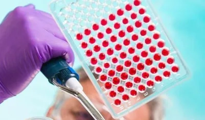 Los procesos que siguen los órganos están orquestados por un "reloj biológico".