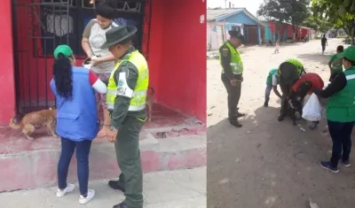  En la jornada la Policía Ambiental y la Secretaría de Salud aplicaron 1.134  dosis a caninos y felinos.