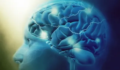 Los hallazgos, que obtuvieron mediante una serie de experimentos con más de 1.500 individuos.