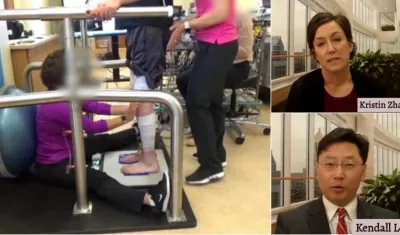 El trabajo de los especialistas Kristin Zhao y Kendall Lee se desarrolló durante cuarenta y tres semanas.