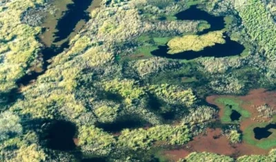 Más de mil millones de personas dependen de los humedales para su subsistencia.