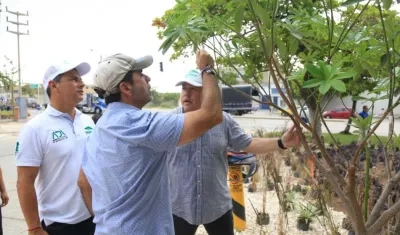 Alcalde Char durante la inspección de la siembra de árboles en Barranquilla.
