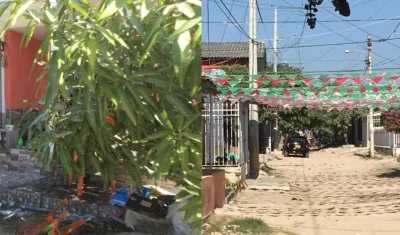 Vivienda y sector donde ocurrió el incendio.